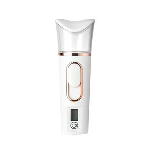 USB Charging Portable Facial Mist Sprayer with Skin Analyzer_1