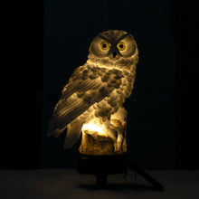Solar Powered Waterproof Outdoor Garden Ornament Owl Light_6
