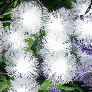 Solar Powered LED Dandelion Flower Pompom Lights