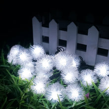 Solar Powered LED Dandelion Flower Pompom Lights