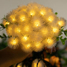 Solar Powered LED Dandelion Flower Pompom Lights
