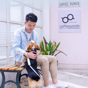 Nylon Reflective One Click Retractable Pet Dog Leash_15