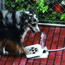 Cat and Dogs Step on Drinking Water Dispenser_9