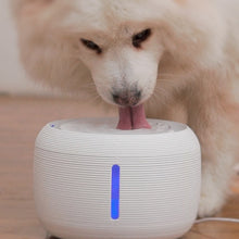 USB 2.5L Cat Dog Water Fountain with Automatic Filtration_7