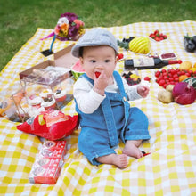Waterproof Folding Outdoor Picnic Mat with Carrying Handle_6
