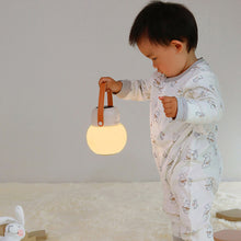 USB Interface Mosquito Repellant Machine and Night Lamp_5