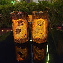 Solar Powered Outdoor Garden Decorative Owl Light_9