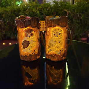 Solar Powered Outdoor Garden Decorative Owl Light_9