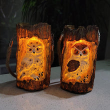 Solar Powered Outdoor Garden Decorative Owl Light_15