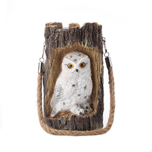 Solar Powered Outdoor Garden Decorative Owl Light_1