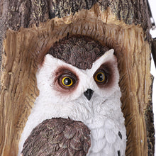 Solar Powered Outdoor Garden Decorative Owl Light_5
