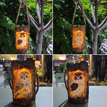 Solar Powered Outdoor Garden Decorative Owl Light_7