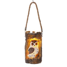 Solar Powered Outdoor Garden Decorative Owl Light_16