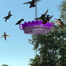 25 Ports Outdoor Easy to Clean Hummingbird Bird Feeder_11