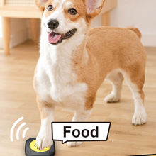 Pet Training Toys