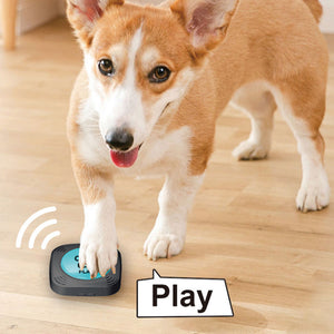 Interactive Recordable Command Pet Buttons-Battery Operated_9