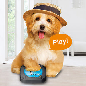 Interactive Recordable Command Pet Buttons-Battery Operated_1