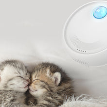 Rechargeable Cat Litter Deodorizing Box Odor Purifier