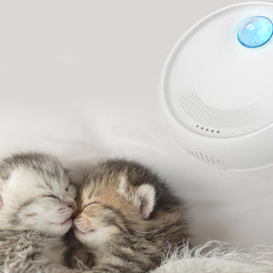 Rechargeable Cat Litter Deodorizing Box Odor Purifier