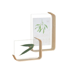 6 Inches Minimalistic Creative Acrylic Home Decoration Herb Photo Frame_0
