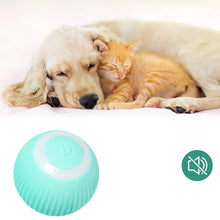 360° Rotating Hunting Kitten Toy with LED Light- USB Rechargeable_6