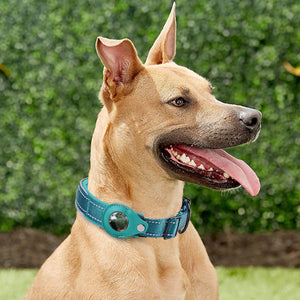 Waterproof Anti-Lost Pet Positioning Collar for The Apple Airtag Protective Tracker_13