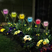 Tulip-Shaped Garden Solar Lights_8