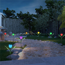 Tulip-Shaped Garden Solar Lights_10