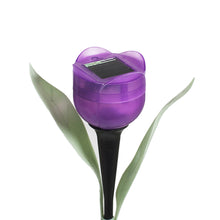 Tulip-Shaped Garden Solar Lights_18