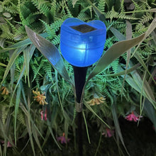 Tulip-Shaped Garden Solar Lights_16