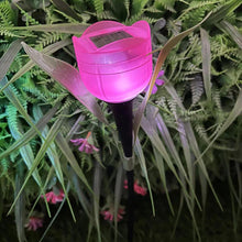 Tulip-Shaped Garden Solar Lights_13