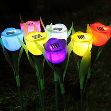 Tulip-Shaped Garden Solar Lights_19