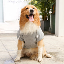 Winter Pet Cotton Clothes Windproof Dog Hoodie Sweatshirt_12