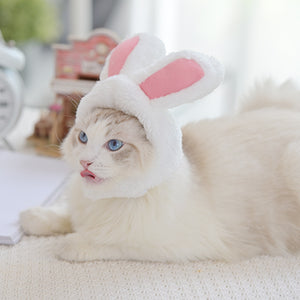 Funny Warm Earmuffs Pet Headgear_10