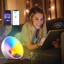 Sunrise Alarm Clock with FM Radio Dual Alarms APP Support USB-Plugged In_11