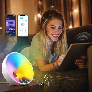 Sunrise Alarm Clock with FM Radio Dual Alarms APP Support USB-Plugged In_11