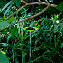 Outdoor Sunflower Solar Bird Feeding Tray_6