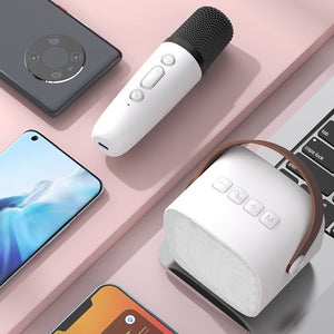 Portable Karaoke Speaker Machine with 6 Sound Effects- USB Charging_6