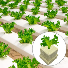 100pcs Seeding Growing Starter Wool Rock Cubes_8