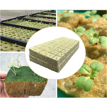 100pcs Seeding Growing Starter Wool Rock Cubes_9