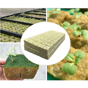 100pcs Seeding Growing Starter Wool Rock Cubes_9