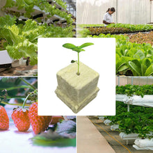 100pcs Seeding Growing Starter Wool Rock Cubes_10