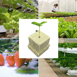 100pcs Seeding Growing Starter Wool Rock Cubes_10