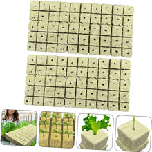 100pcs Seeding Growing Starter Wool Rock Cubes_11
