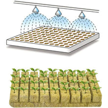 100pcs Seeding Growing Starter Wool Rock Cubes_7