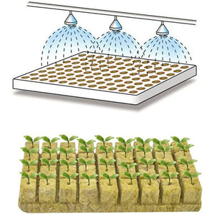 100pcs Seeding Growing Starter Wool Rock Cubes_7