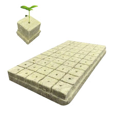 100pcs Seeding Growing Starter Wool Rock Cubes_0