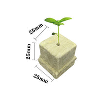 100pcs Seeding Growing Starter Wool Rock Cubes_12