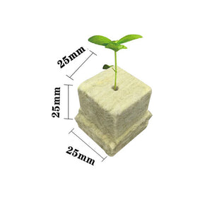 100pcs Seeding Growing Starter Wool Rock Cubes_12