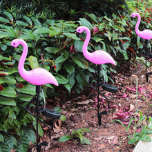 Flamingo Solar Standing Light